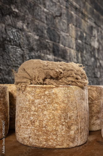 Cantal AOP fromage