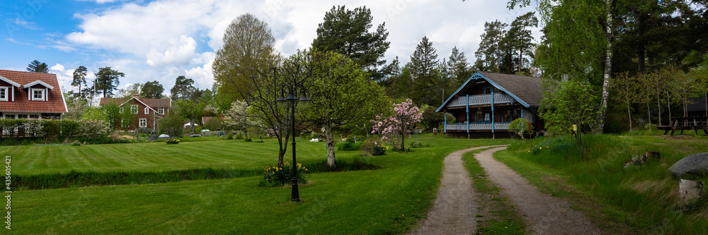 Panorama of countryside. Old two story wooden house by the road.Villa cottage made of dark wood with large terrace and balcony. Garden design with flowering trees and daffodils. Green lawn is mowed.