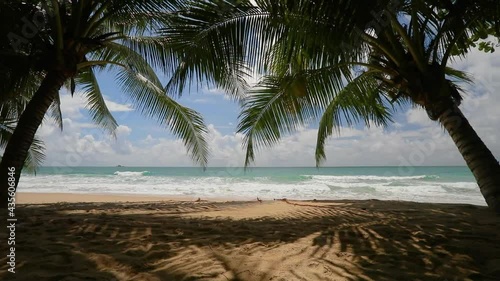 Beautiful sea on a sunny day There is an arch of a coconut tree frame Covered and shaded on the sandy beach Travel vacation footage background concept summer beach with sunny sky Phuket, Thailand.