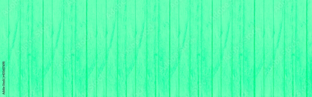 Obraz premium Panorama of Old green vintage wooden wall pattern and seamless background