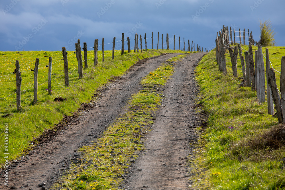 Obraz premium Chemin de campagne au milieu des champs sous un ciel d'orage.