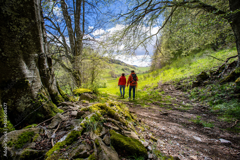 Deux randonneurs marchant en pleine nature sur un chemin de montage.