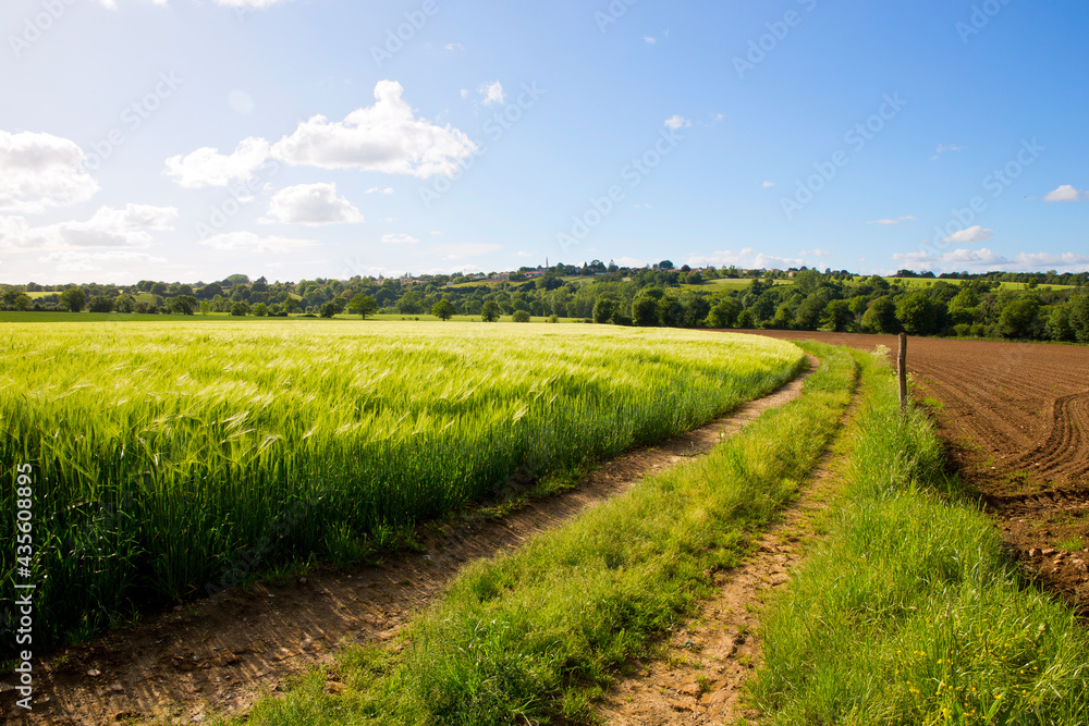 Paysage de campagne au printemps, agriculture en France. Paysage de campagne au printemps, agriculture en France.