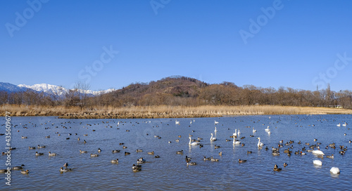 Wallpaper Mural 御宝田遊水地 Torontodigital.ca