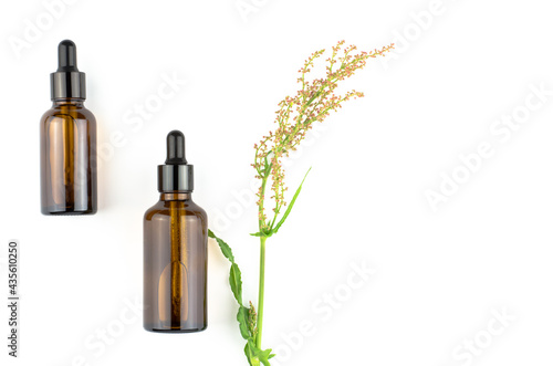 Herbs and dark glass bottles on a white background with place for text. Flat lay  top view  copy space. Skin care and beauty treatment concept