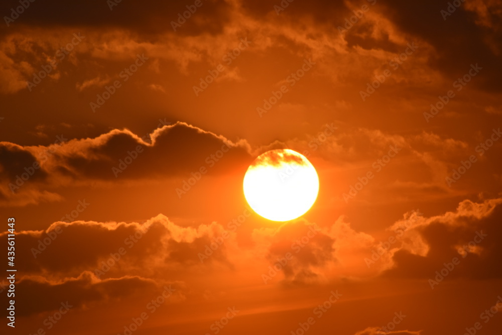Fototapeta premium sonnenball