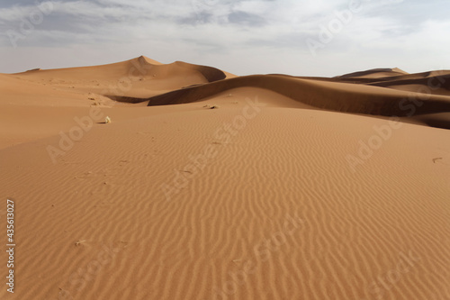 Sahara w Maroku  2013