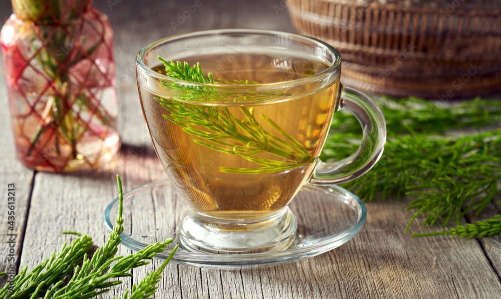 Horsetail tea with fresh horsetail medicinal plant Horsetail tea with fresh horsetail medicinal plant