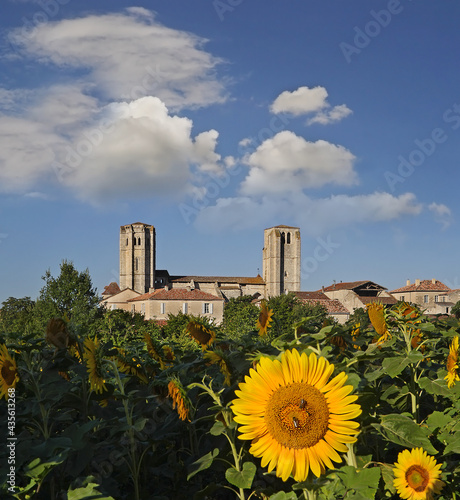 La Romieu is a little village of Gers in Gascony. The collegiate church includes a cloister and two towers. UNESCO - the Pilgrim's Road to Santiago de Compostela, France photo