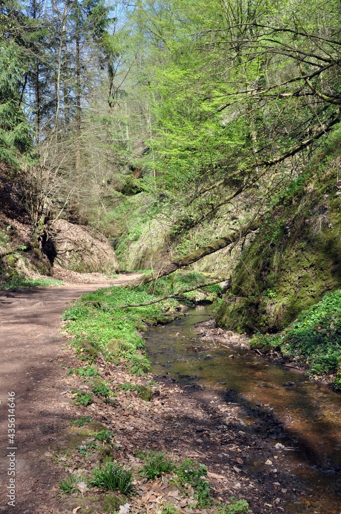 Fototapeta premium Die Drachenschlucht in Eisenach