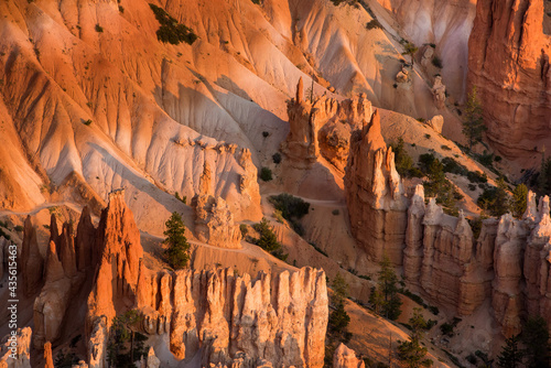 Close up of hoodoos at sunset from the top of Bryce Canyon National Park Utah.