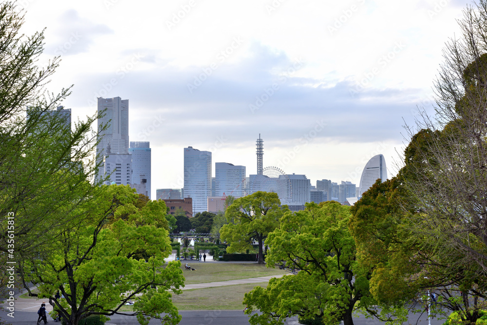 Fototapeta premium 横浜山下公園から眺めるみなとみらい