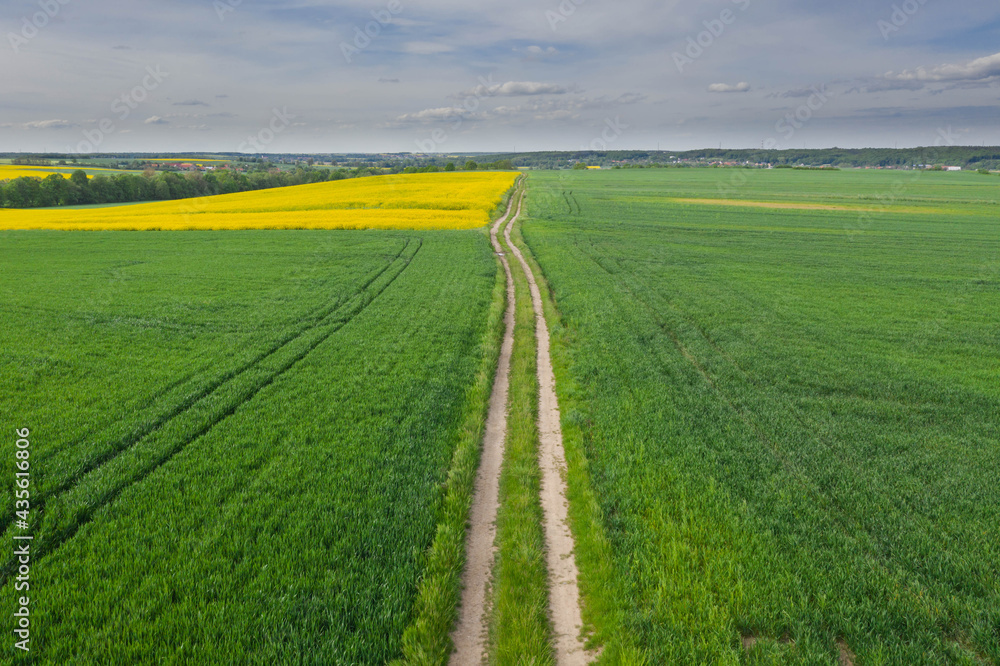 Przedgórze Sudeckie. Pola uprawne z plantacjami kwitnącego rzepaku. Zdjęcie zrobione przy użyciu latającego drona.