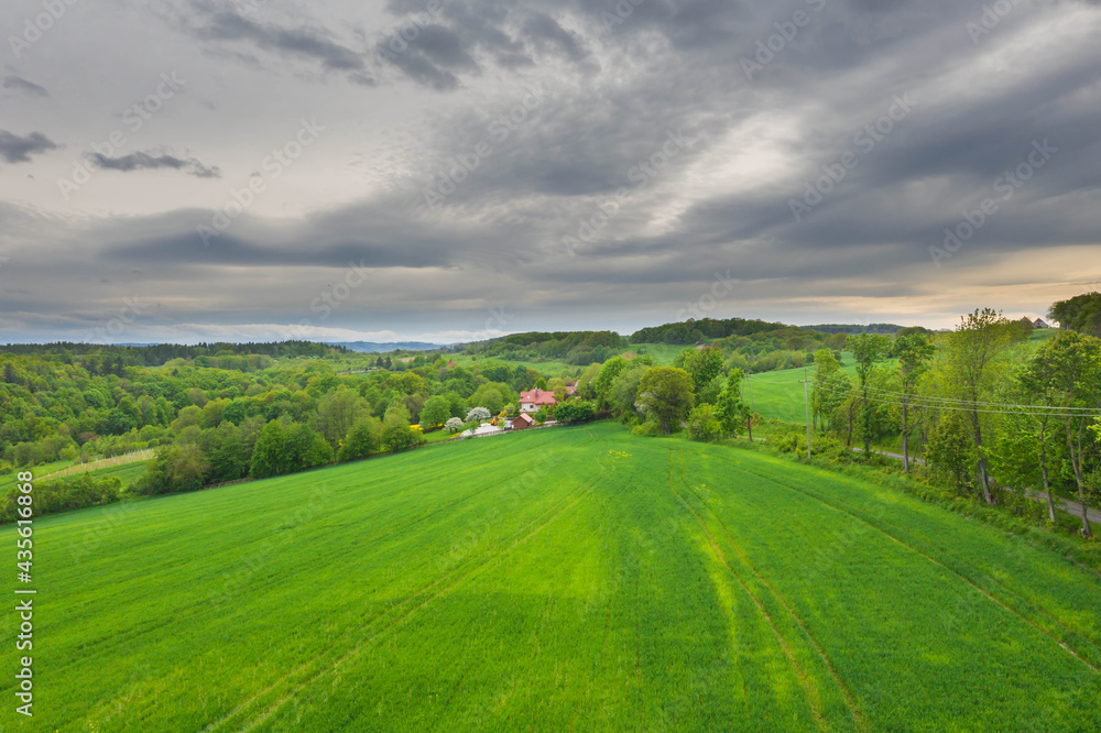Przedgórze Sudeckie. Pola uprawne z plantacjami kwitnącego rzepaku. Zdjęcie zrobione przy użyciu latającego drona.