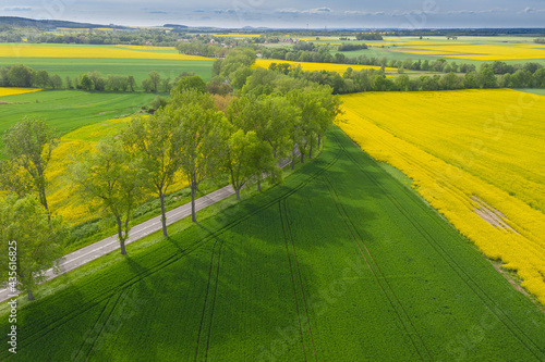 Przedgórze Sudeckie. Pola uprawne z plantacjami kwitnącego rzepaku. Zdjęcie zrobione przy użyciu latającego drona. © boguslavus