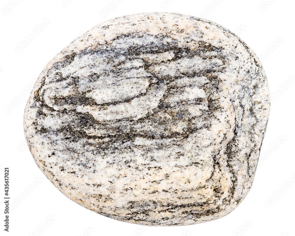 Top view of single gray pebble Top view of single gray pebble