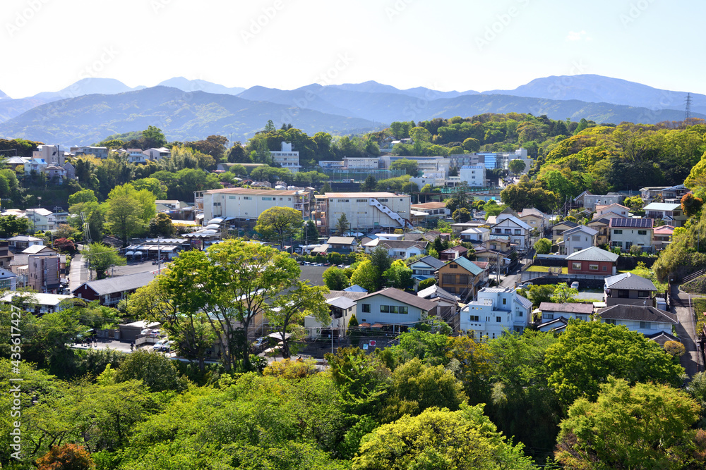 小田原城の周りの丘陵に立ち並ぶ住宅
