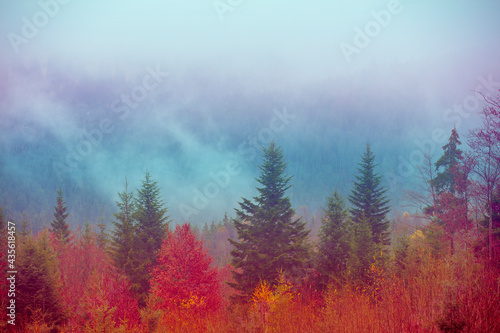 Mountain landscape in the early misty autumn morning