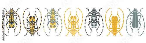 Set of stylised, decorative, longhorn beetle insect, vector illustrations, isolated on a white background.
