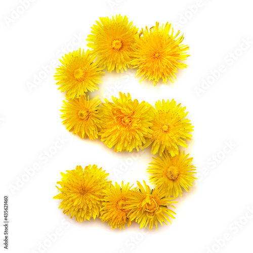 The letter S of yellow dandelions