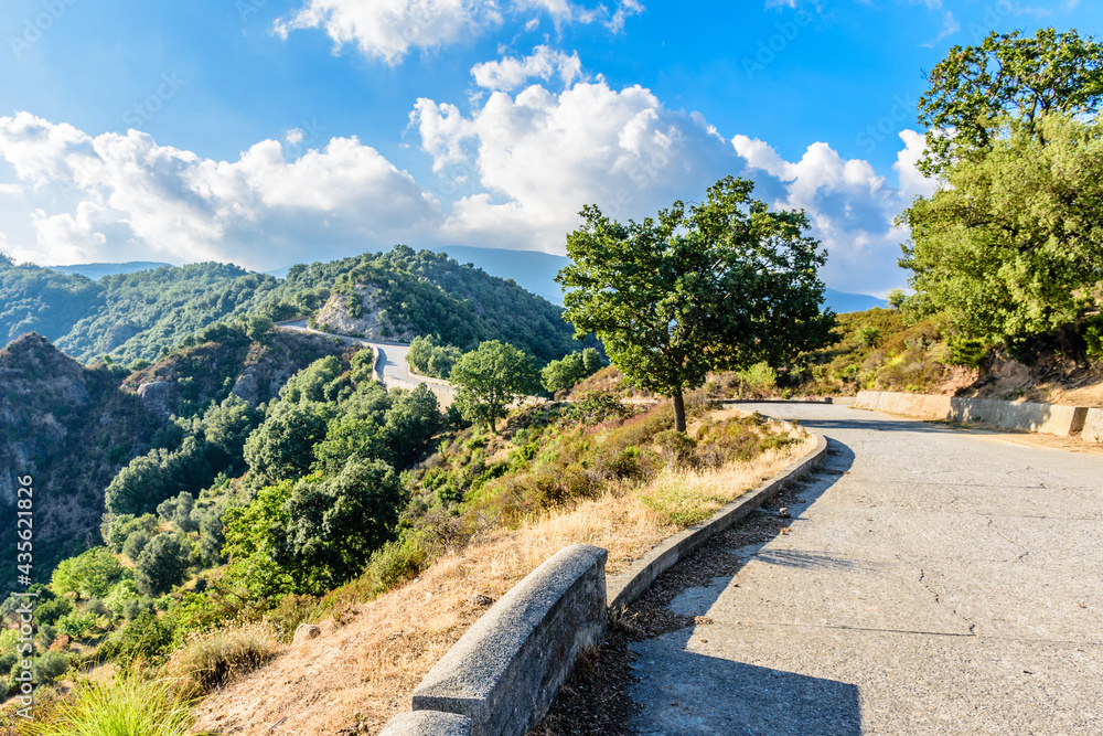 A winding road through Aspromonte park in Calabria, Italy