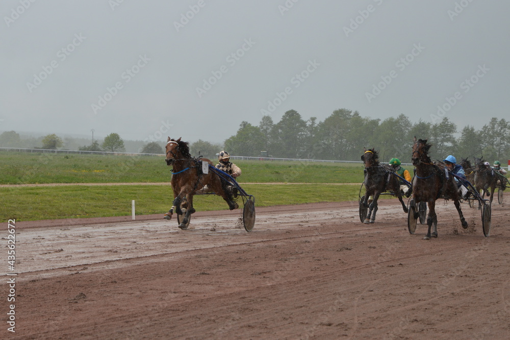 Courses hippiques hippodrome de Gournay en Bray Stock Photo Adobe Stock