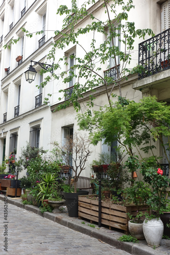 Déambulation arborée dans une voie privée à Paris Déambulation arborée dans une voie privée à Paris
