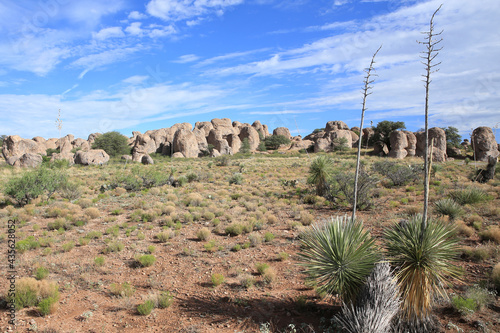 City of Rocks State Park in New Mexico, USA