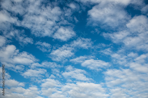 青空一面に広がる雲の合間に写る小さな月が見える空の風景