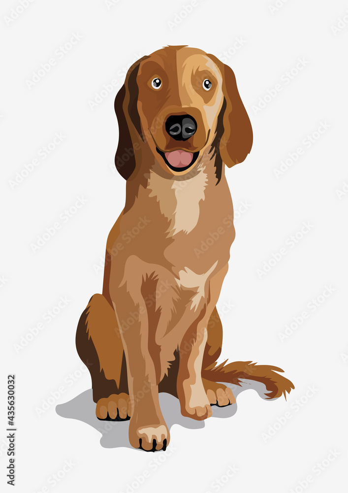 Cute beautiful brown dog. Ridgeback or little bulldog. A beautiful white dog sitting on a ground. Isolate. Vector illustration Cute beautiful brown dog. Ridgeback or little bulldog. A beautiful white dog sitting on a ground. Isolate. Vector illustration