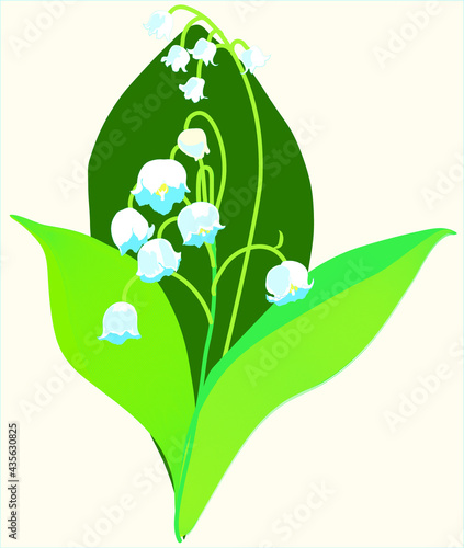 lily of the valley