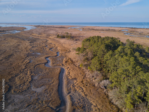 A creek at low tide winding through tidal salt marsh with Chesapeake Bay in the background, Virginia