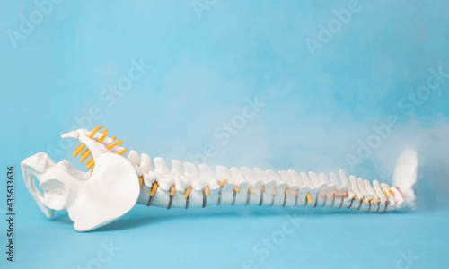 Mock up of a human spine on a blue background and steam from low temperatures. Cold spine treatment concept, ozone therapy and cryotherapy. Copy space for text photo