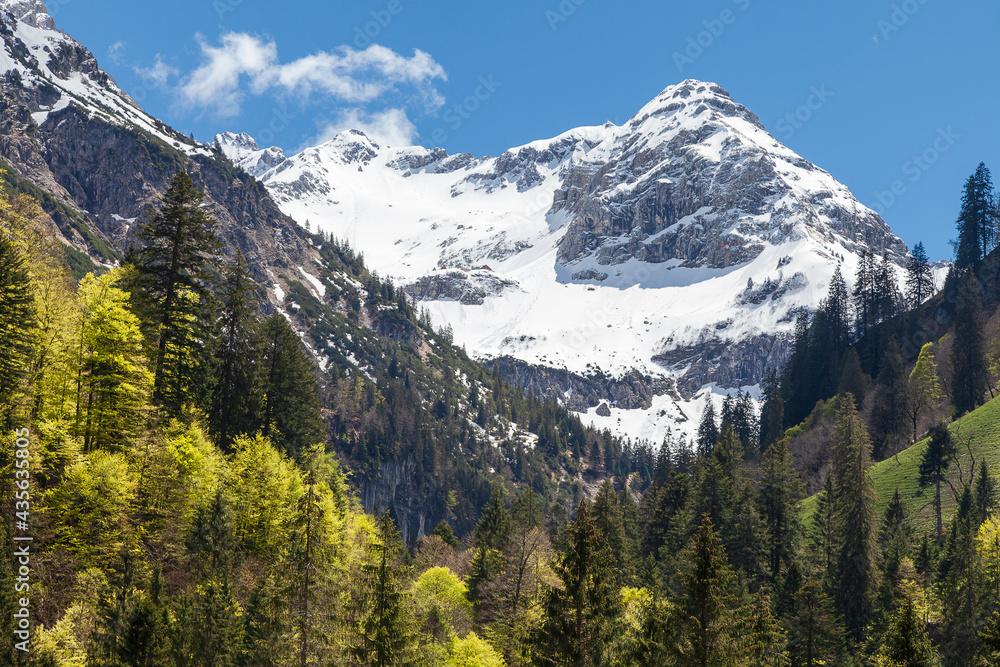 Wilde Bergnebel in den Allgäuer Alpen mit verschneiten Gipfeln und frischem Grün im Tal