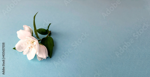 Flat lay with copy space  for the wedding, birthday, party or other celebration