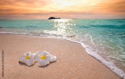 White frangipani plumeria flowers on sand at the beach front of the ocean waves background. photo
