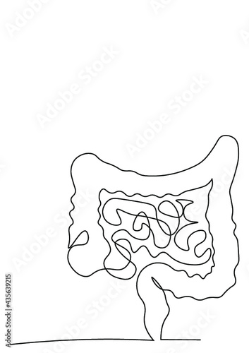 Magen Gaster OneLine Line Art Liniengrafik Lineart Intestine Darm Healthy Gesundheit Lifestyle Nahrungsergänzungsmittel Medizinprodukt Medizin Medical