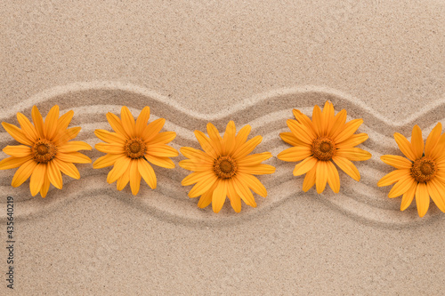 Zigzag from yellow daisies. Beauty in nature. Top view. Summer concept.