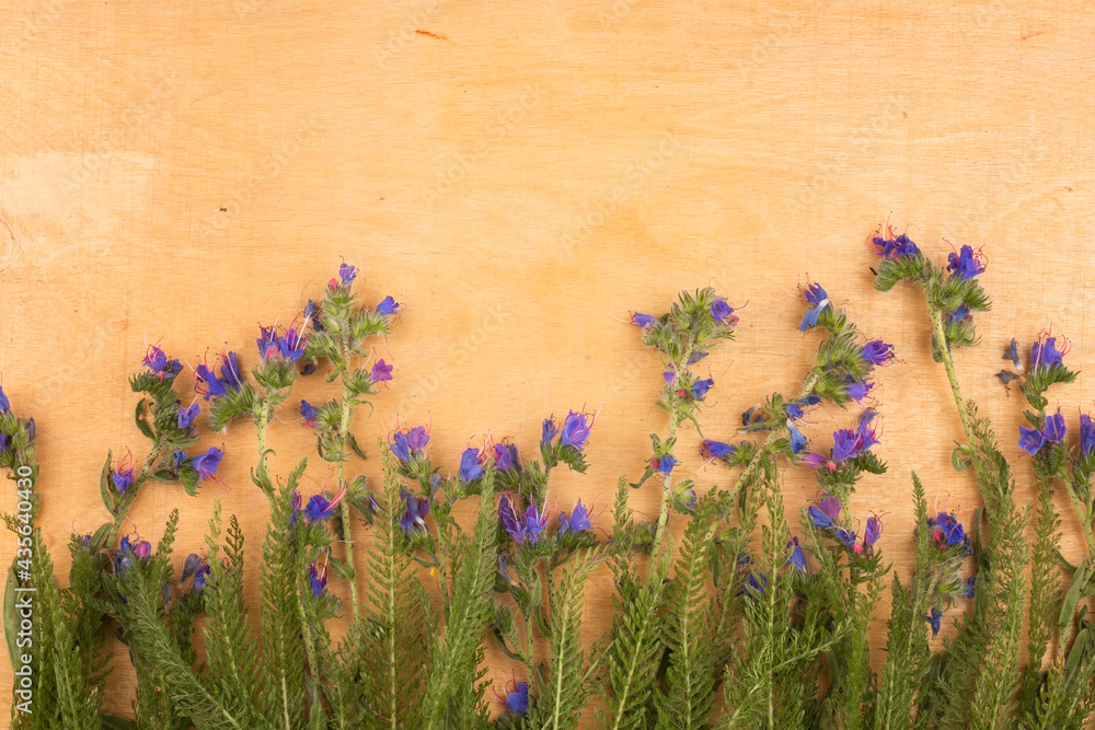 Φωτογραφία Blue wildflowers on a light wooden background. Top view.