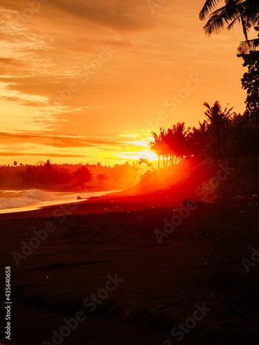 Bright sunset or sunrise with ocean waves and coconut palms on beach © artifirsov