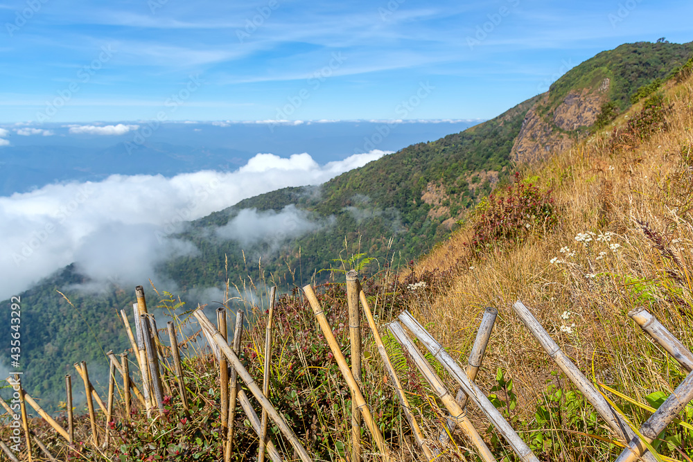 Bamboo Fence on the High Mountain
