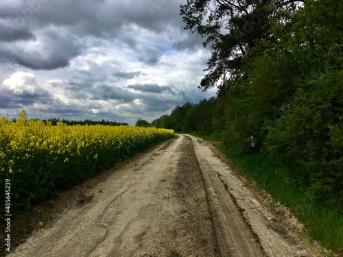 road in the field