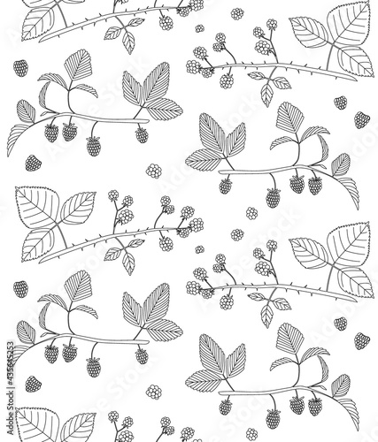 Dewberry, blackberry, raspberry vector seamless pattern with branches, leaves and berries line hand drawn illustration. Isolated on white background.