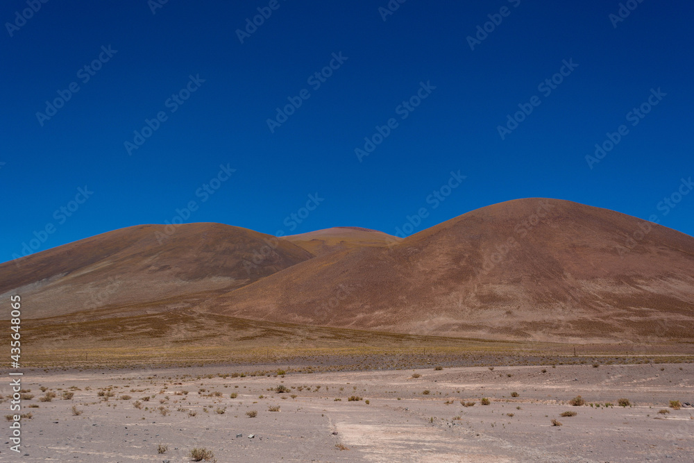 Fototapeta premium park