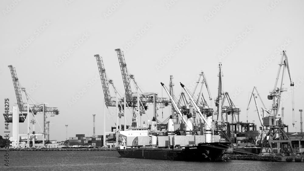 Fototapeta premium panorama of a port 