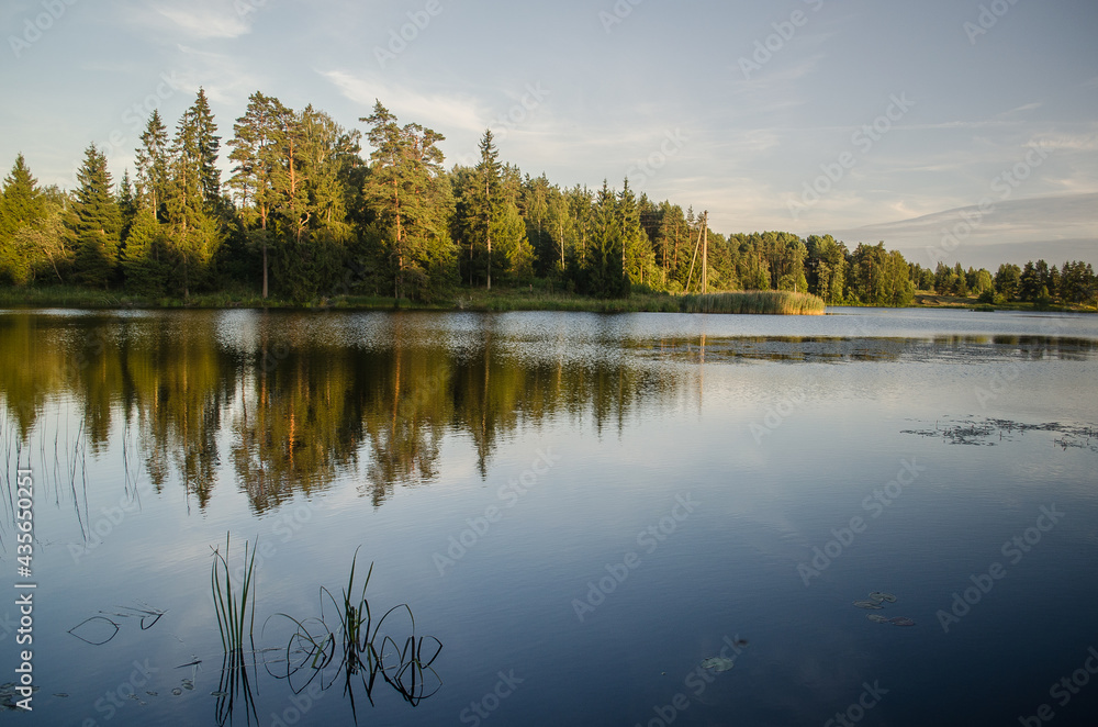 Obraz premium Beautiful pond in sunny summer evening.