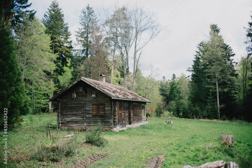 Waldhütte