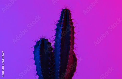 Cactus in trendy neon light. Gradient pink-blue glow. Concept art. Minimalism