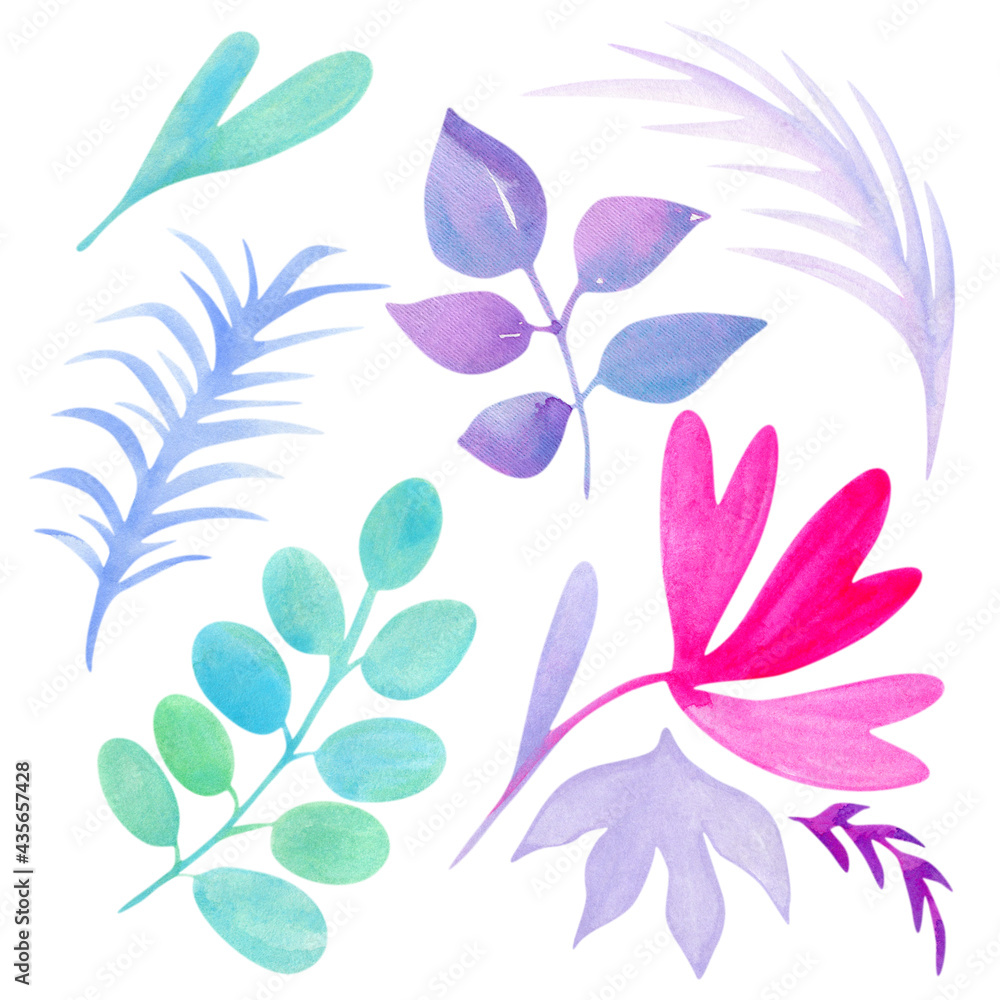 Watercolor floral elements isolated on white Stock Illustration | Adobe ...