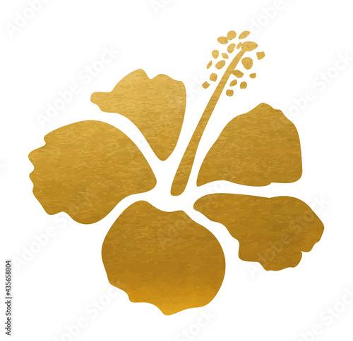 Golden Hibiscus Flower - Vector Shape